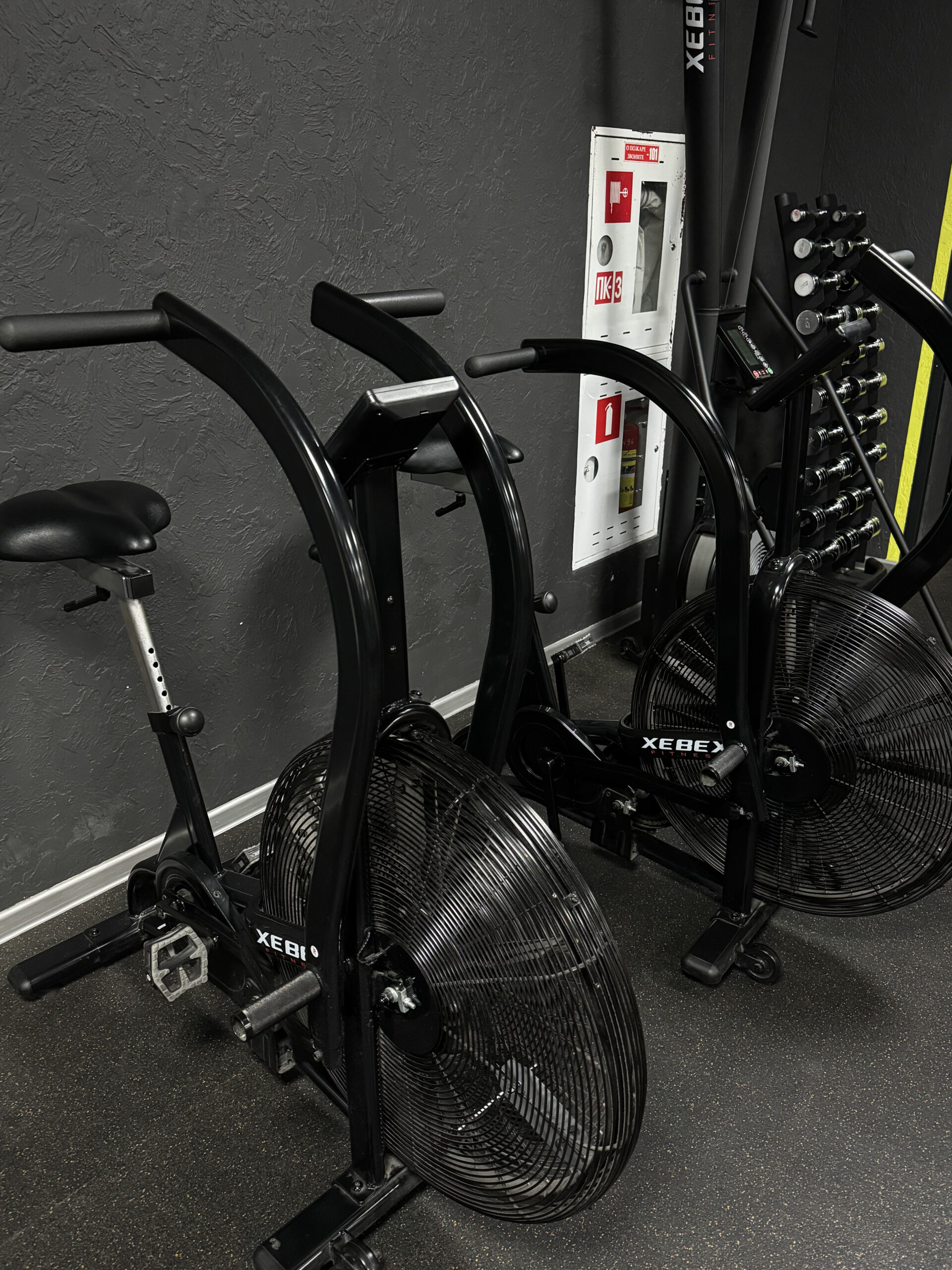 Фото клуба 1